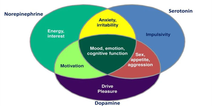 Tianeptine Ethyl Ester3