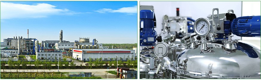 DHEA factory a 3
