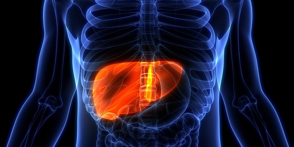 liver-anatomy-drug-induced-injury liver-anatomy-drug-induced-injury