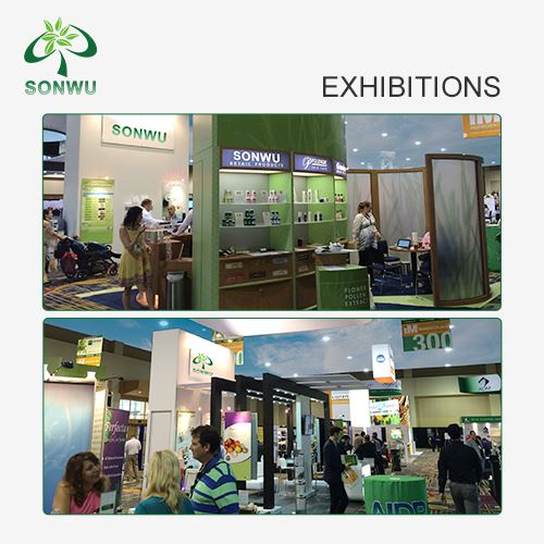 LGD4033 Powder exhibition