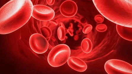 Blood Sugar Control Blood Sugar Control