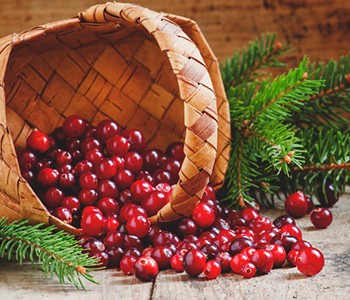 क्या अल्टार पर क्रैनबेरी एक सार्वभौमिक सुपरफूड है?