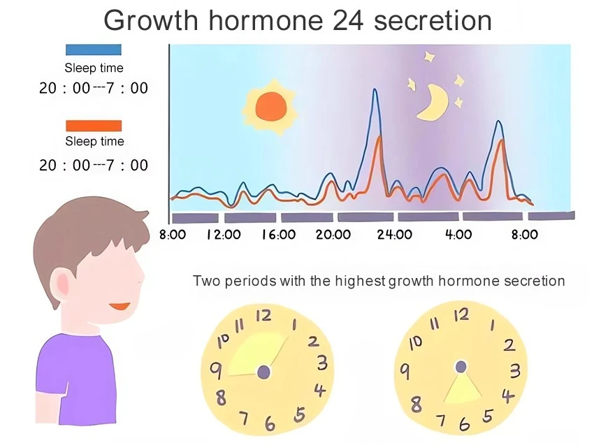 Human growth hormone powder