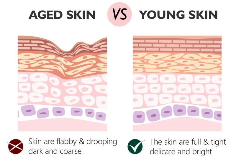 Skin Skin