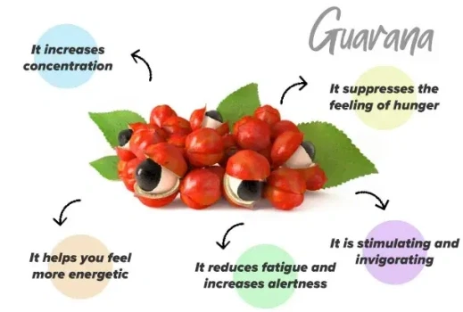 What Does Guarana Seed Extract Do To The Body What Does Guarana Seed Extract Do To The Body